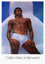 [Calvin Klein Underwear]